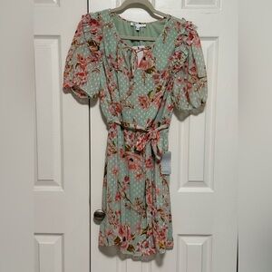 DR2 Mint Green Floral Midi Dress with Pink Floral Print